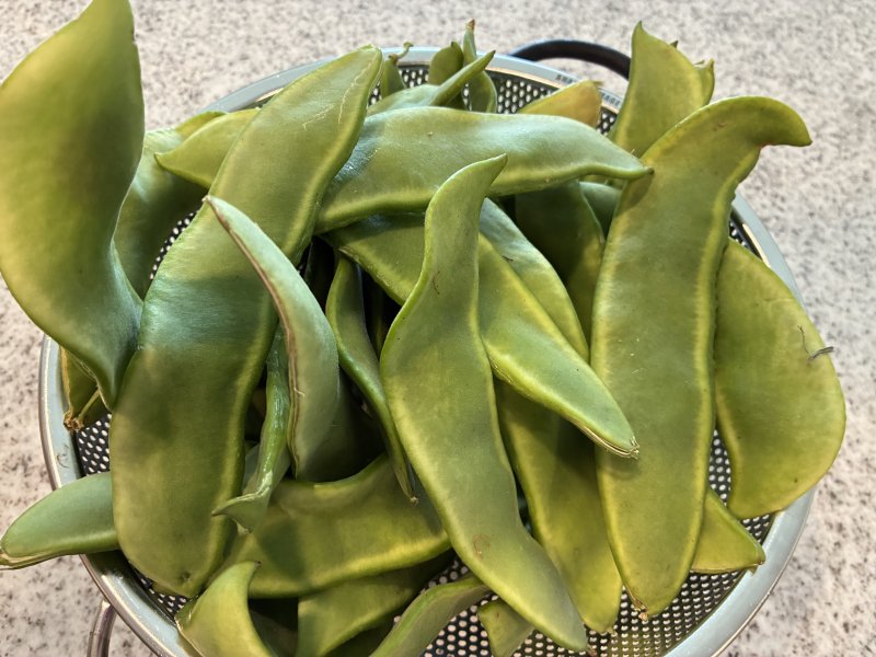When shelling fresh limas, start at the stem end and pull to unzip the pod, then pop the beans out with your fingers. SUBMITTED PHOTO